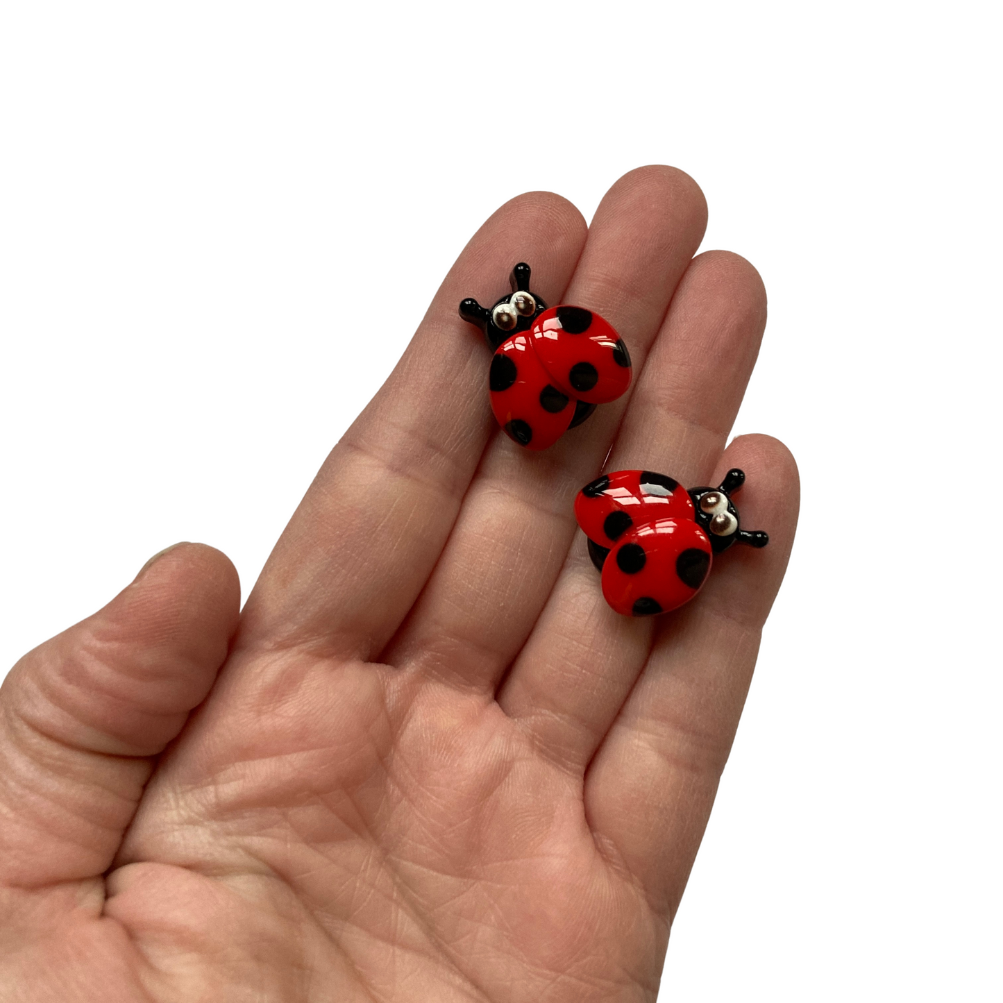 Ladybug Magnets