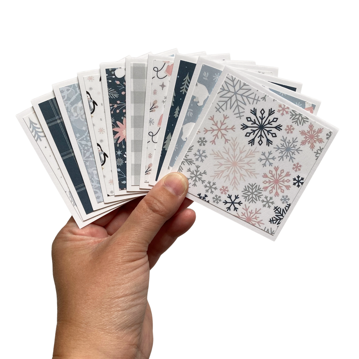 3x3 Winterland Note Cards